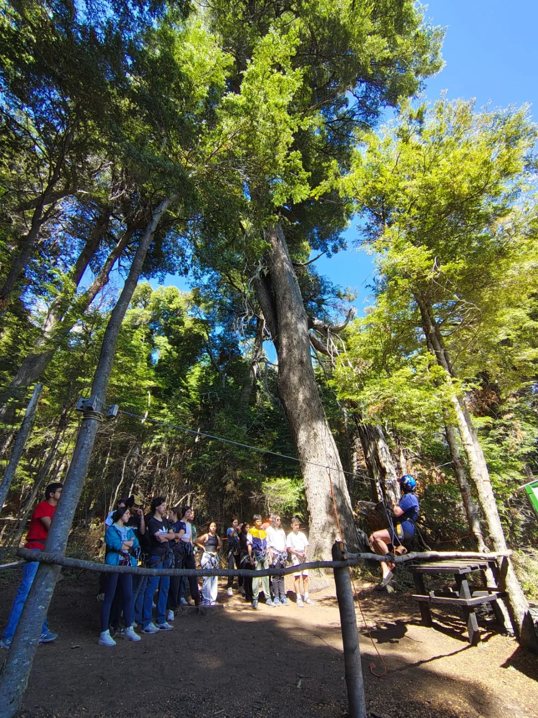 Foto de Canopy - Cerro Lopez en Bariloche